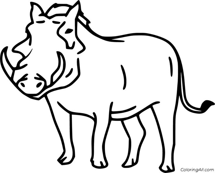 Free printable warthog coloring pages in vector format easy to print from any device and automatically fit any paper size warthog coloring pages pet birds