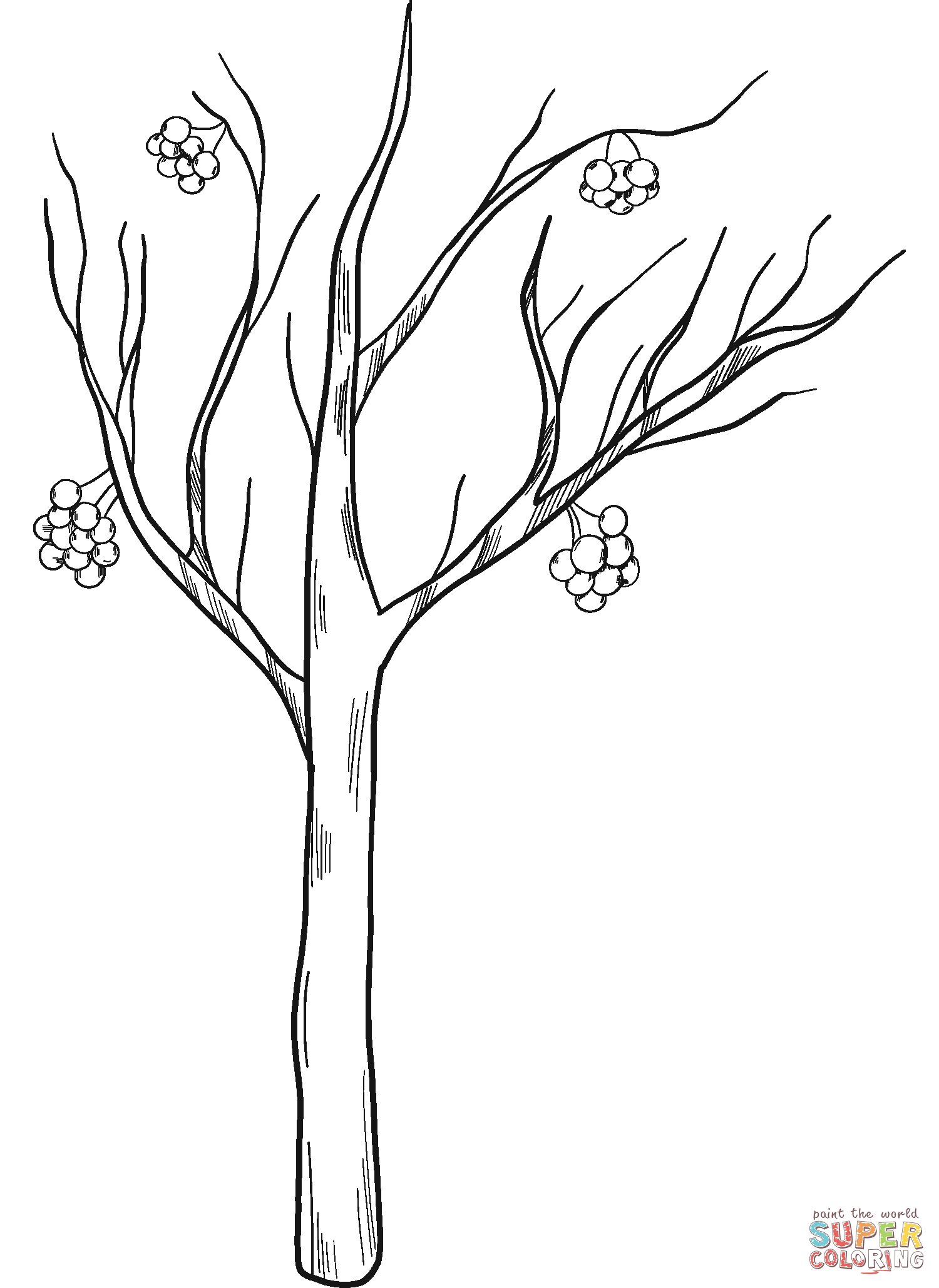 Winter tree coloring page free printable coloring pages