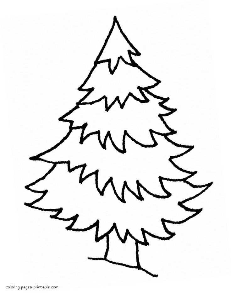 Spruce in the winter forest coloring page tree coloring page christmas tree coloring page printable coloring pages