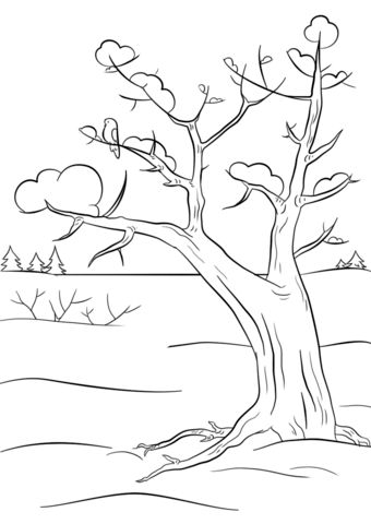 Click to see printable version of winter tree coloring page tree coloring page winter trees coloring pages