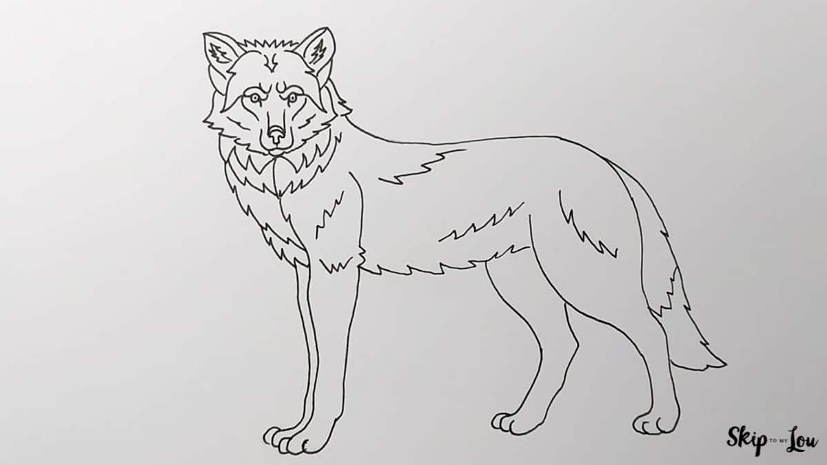 How to draw a wolf skip to my lou