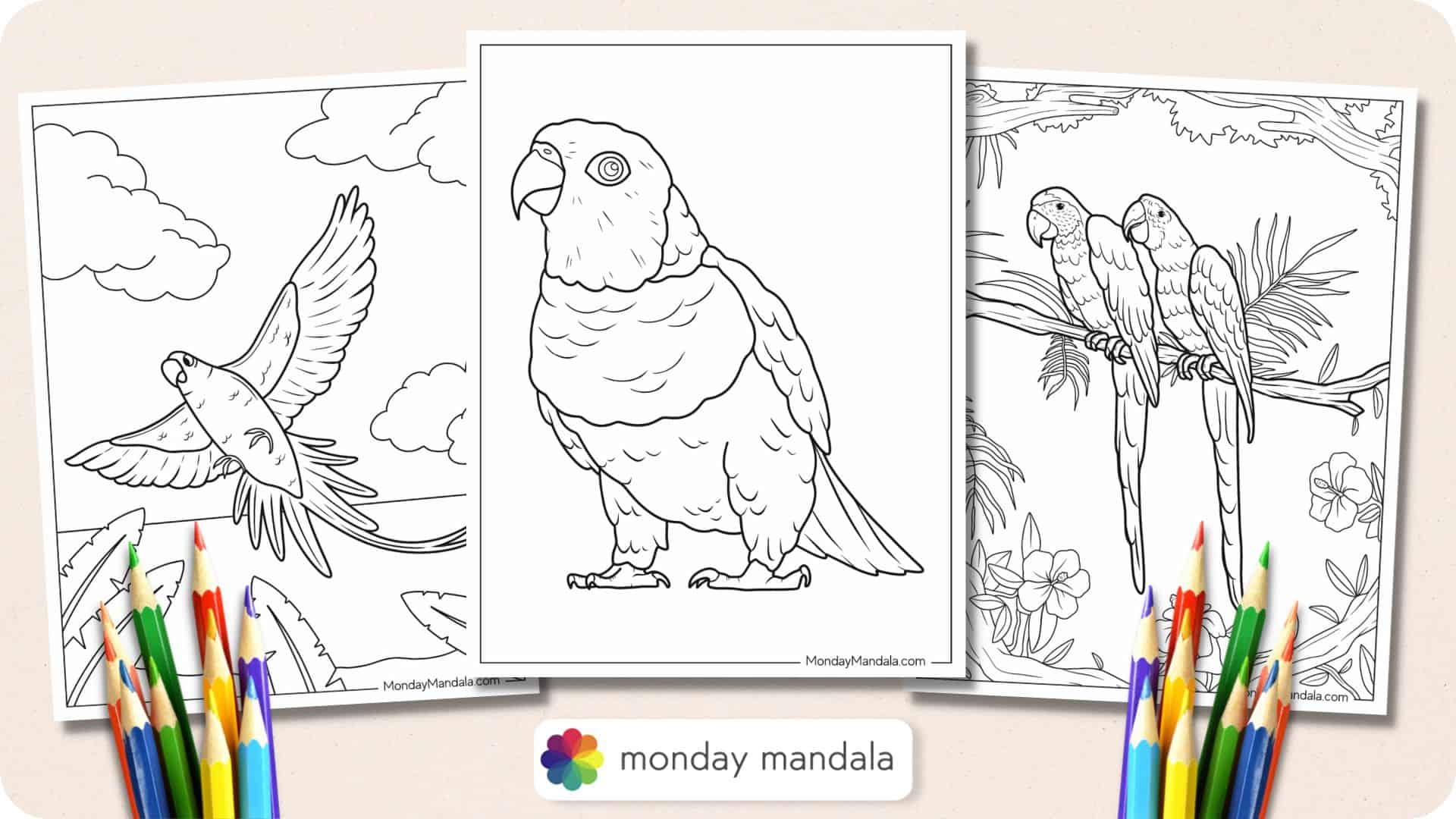 Parrot coloring pages free pdf printables