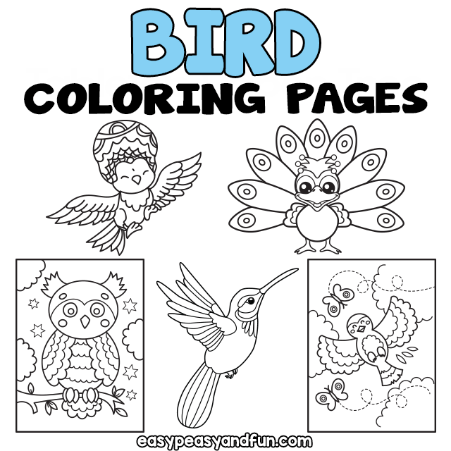 Printable bird coloring pages