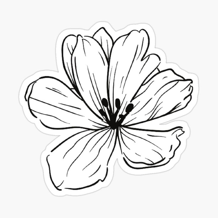 Cute flower sticker for sale by stiavelli flower coloring pages flower outline etsy