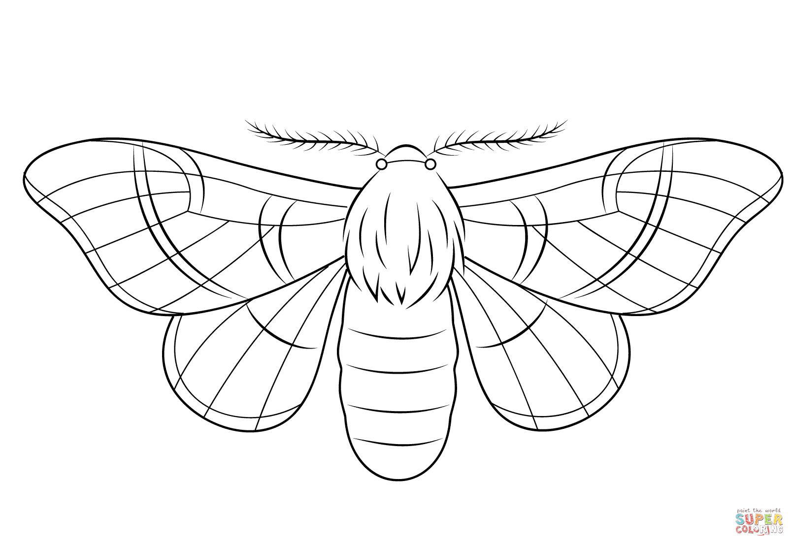 Silkmoth coloring page free printable coloring pages