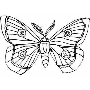 Moth coloring page coloring pages printable coloring pages relief printing