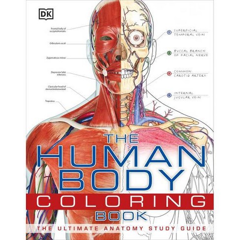 The human body coloring book