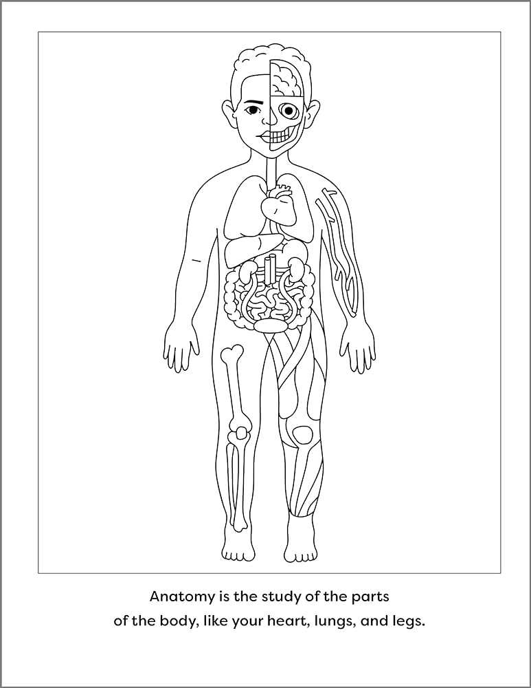 Human anatomy coloring book with facts coloring activities with facts about the human body rockridge press ni christy books