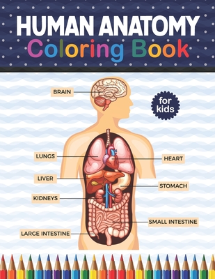 Human anatomy coloring book for kids human body anatomy coloring book for kids boys and girls and medical students human anatomy medical super fun paperback books on the square