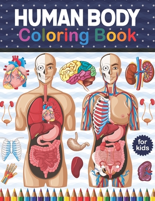 Human body coloring book for kids human body coloring activity book for kids kids anatomy coloring book preschool activity book about human body paperback greenlight bookstore