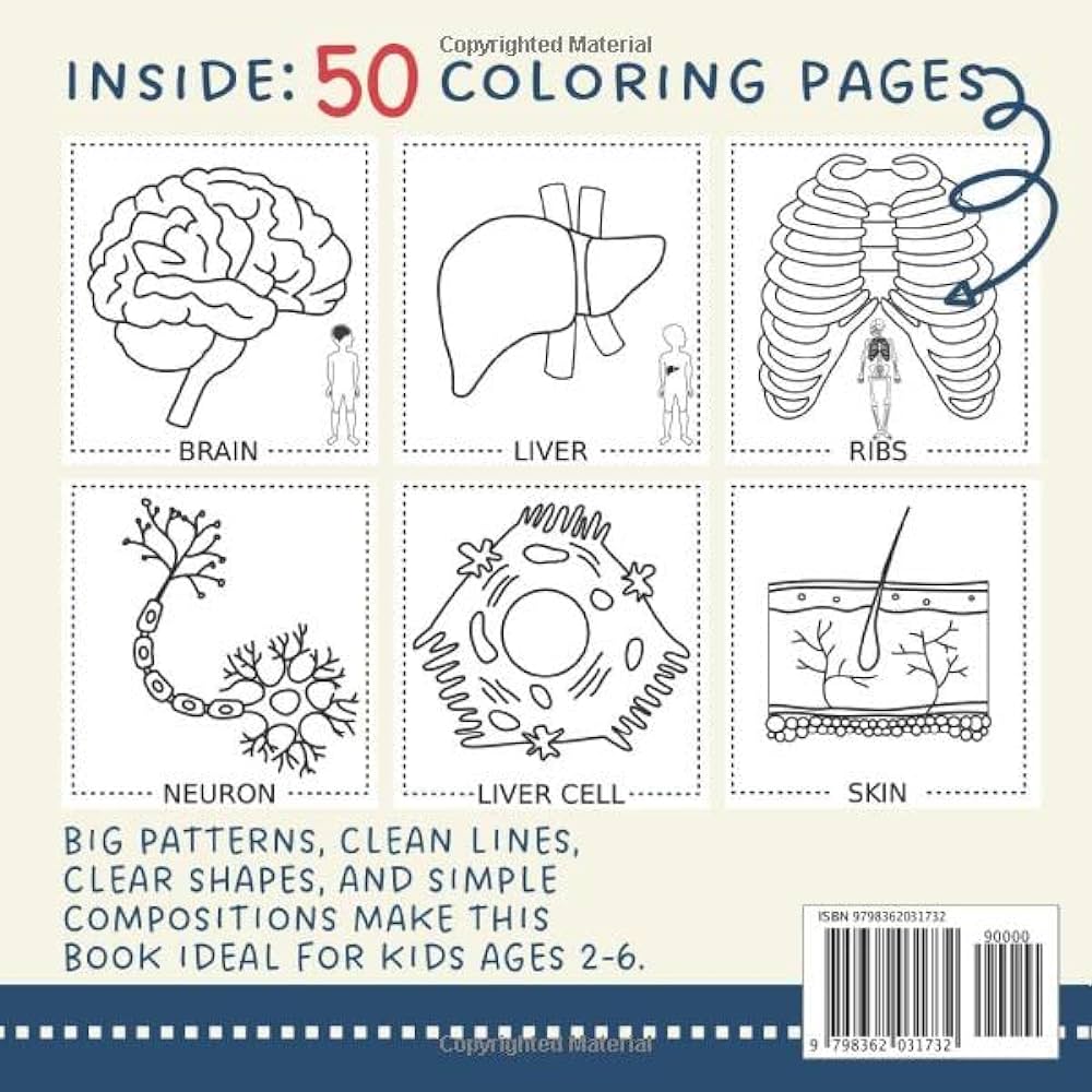 Anatomy and physiology coloring book for kids educational coloring pages of human organs cells skeleton and more for toddlers and preschoolers easy pictures with big and simple patterns steen