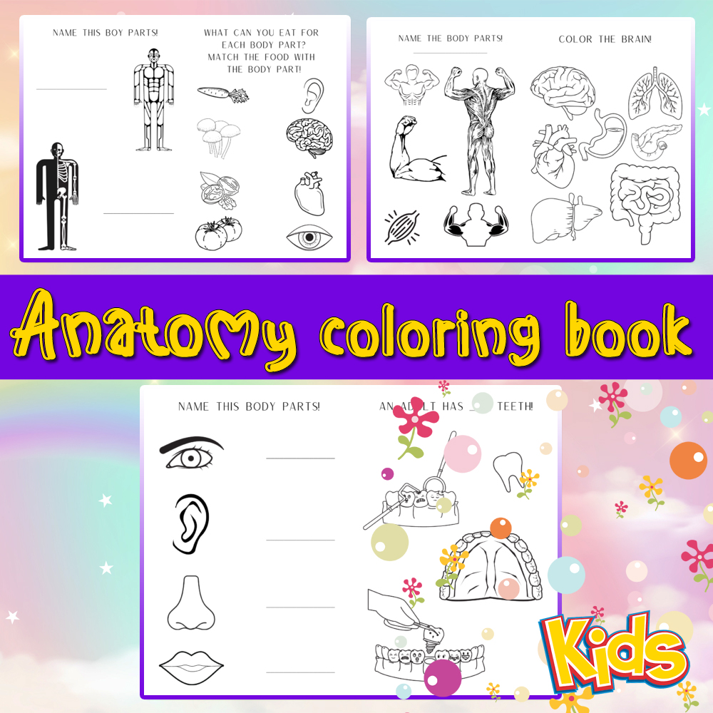 Anatomy coloring book human body coloring pages for kids human brain heart made by teachers