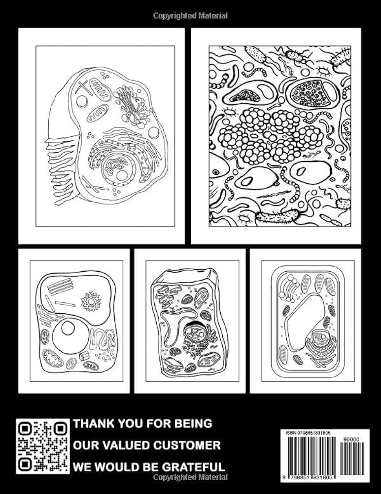 Human cell coloring book interesting coloring pages featuring many illustration for teens adults to learn about cells and organs johnston molly books