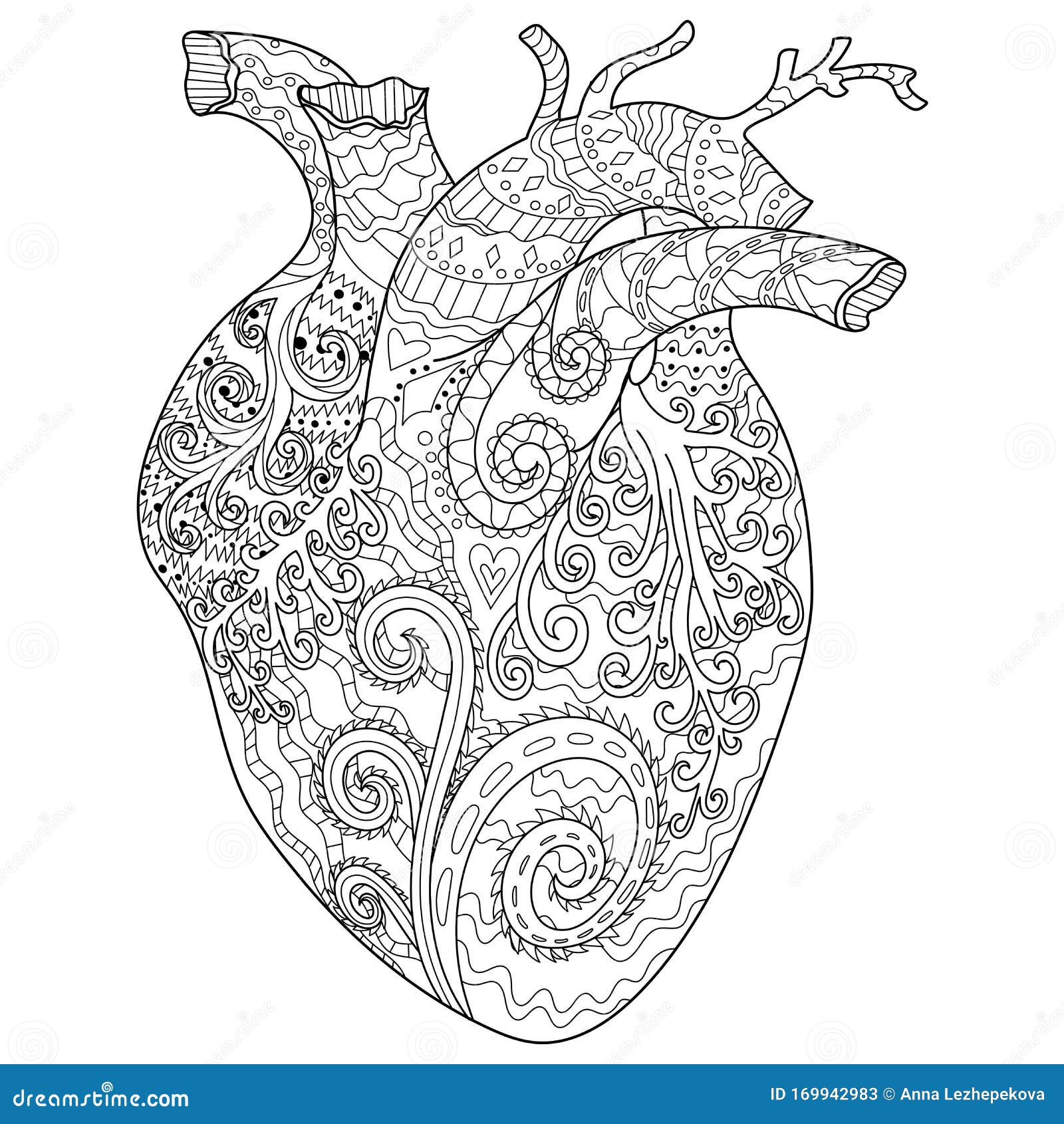 Adult coloring human heart stock illustrations â adult coloring human heart stock illustrations vectors clipart