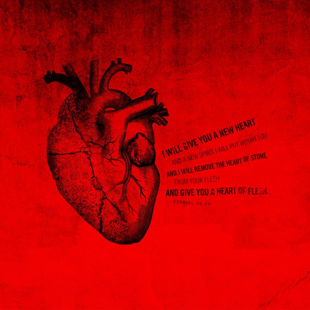 Download human heart hd wallpapers Bhmpics