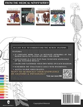 Human anatomy coloring book bones medical notes detailed illustrations learn the skeletal system anatomy and physiology coloring workbook with nurses doctor and all lovers of anatomy davis