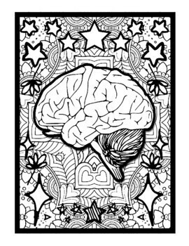 Human anatomy mindfulness mandala coloring pages anatomy printable sheets pdf