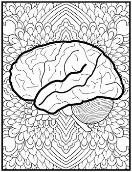 Human anatomy coloring pages mindfulness coloring sheets mandala by qetsy