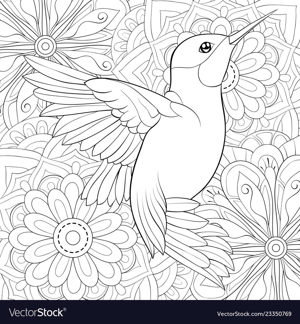 Adult coloring bookpage a cute hummingbird vector image
