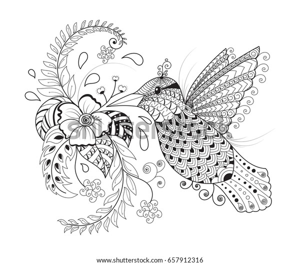 Hummingbird adult coloring book zentangle hand stock vector royalty free