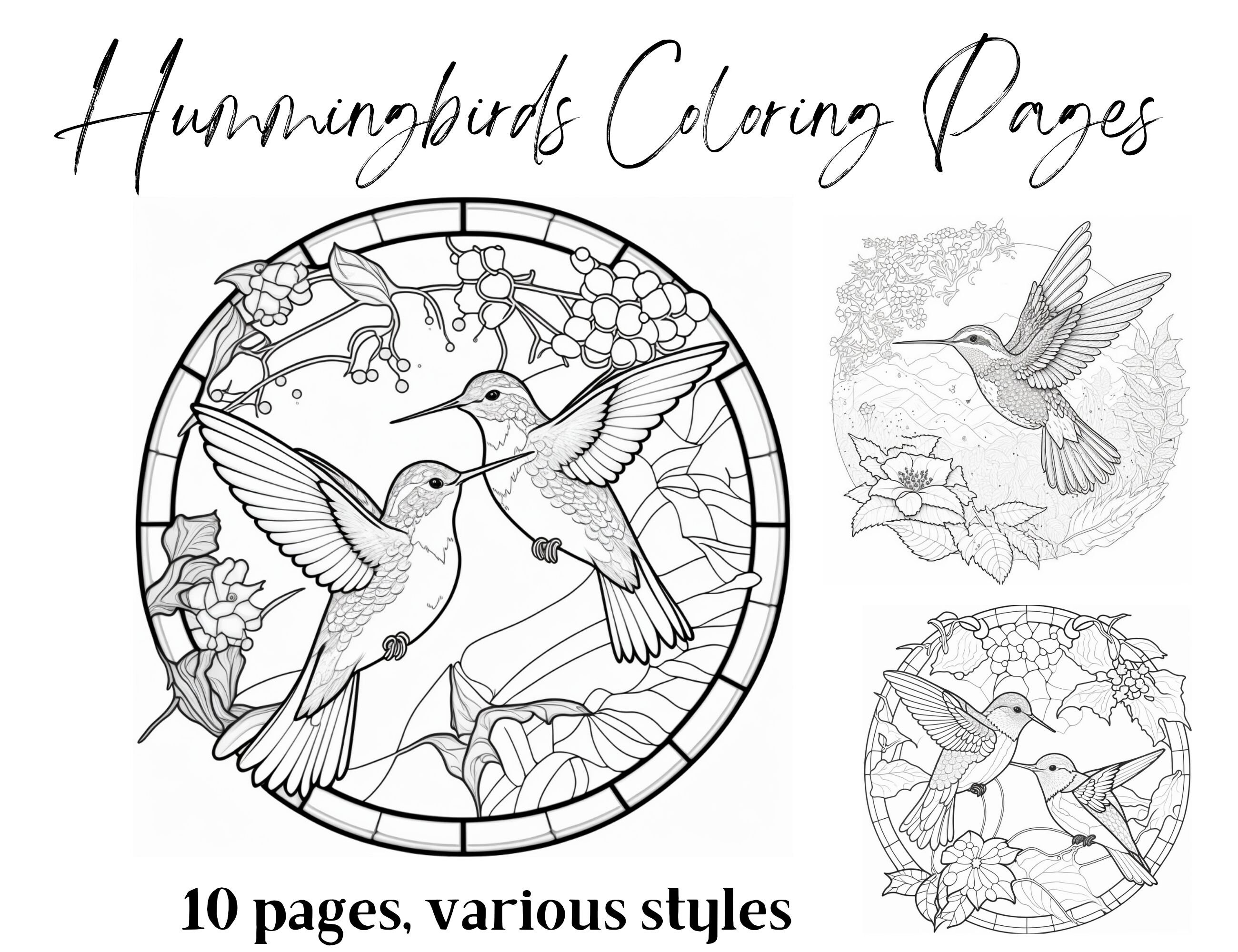 Hummingbirds coloring pages coloring pages for adult download now