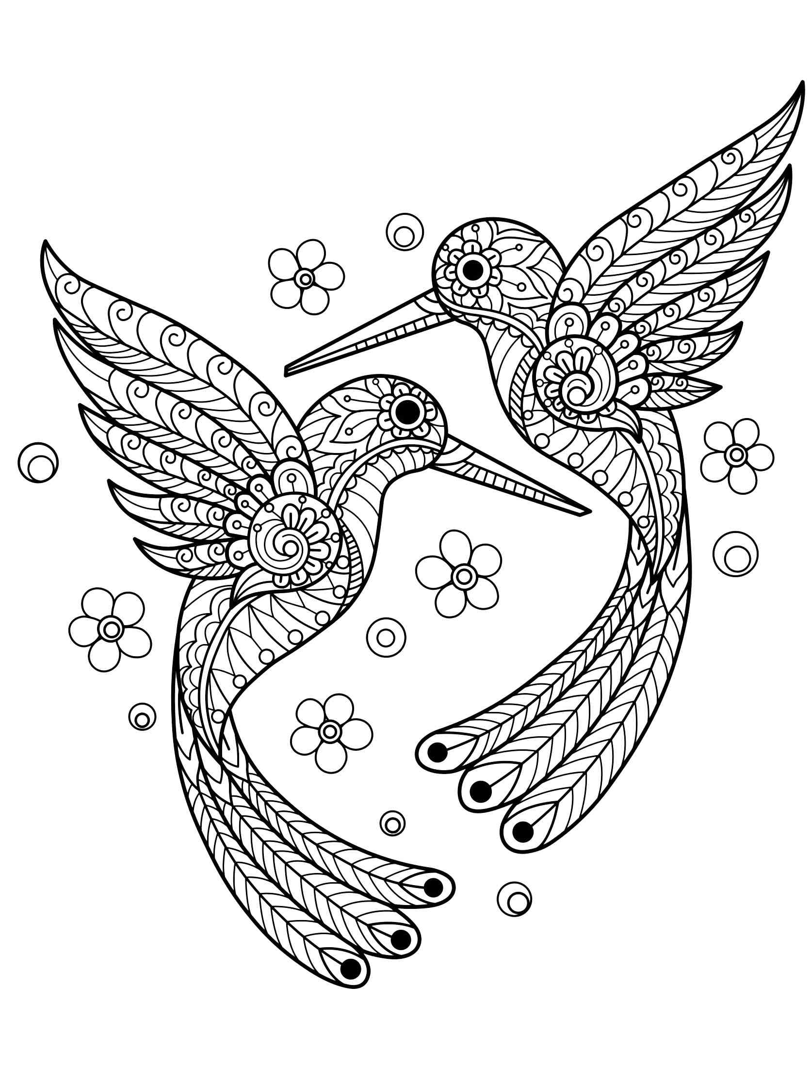 Hummingbird coloring pages for adults