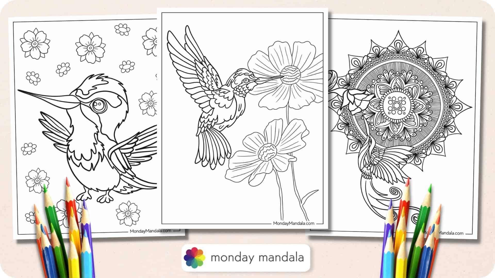 Hummingbird coloring pages free pdf printables