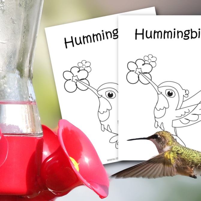 Free printable hummingbird coloring page for kids