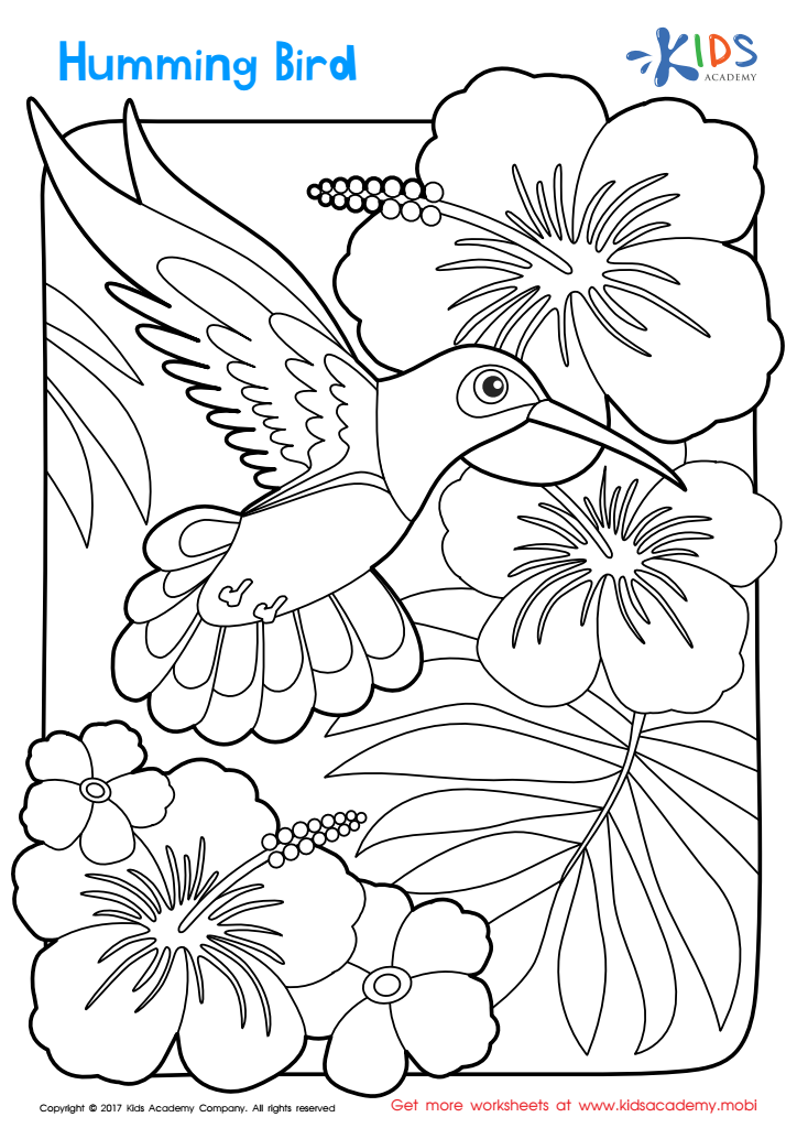 Humming bird worksheet printable coloring page for kids