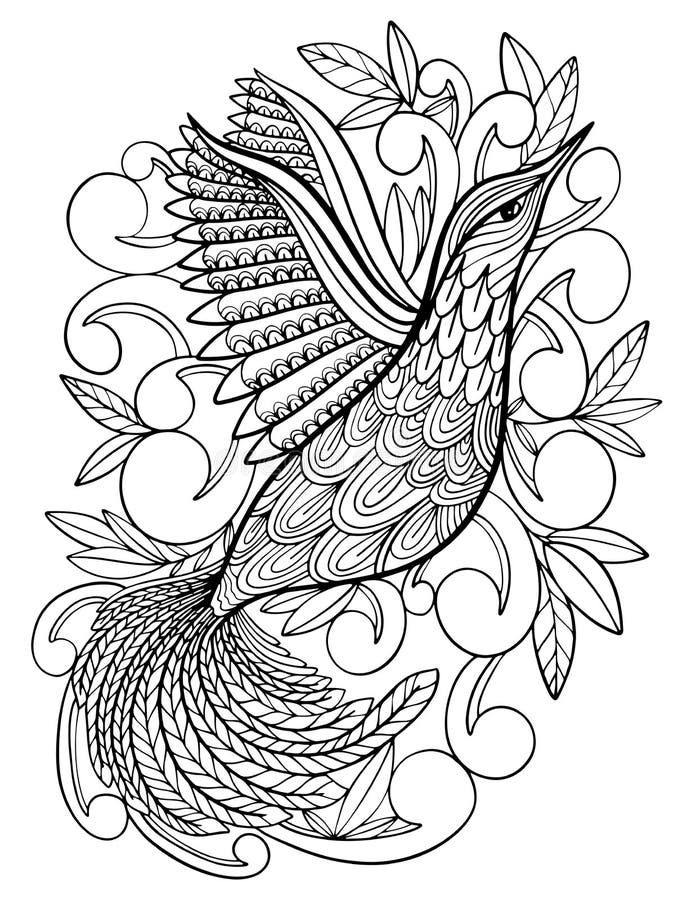 Coloring pages coloring book for adults beautiful template with artwork school educationbird hummingbird stock illustration