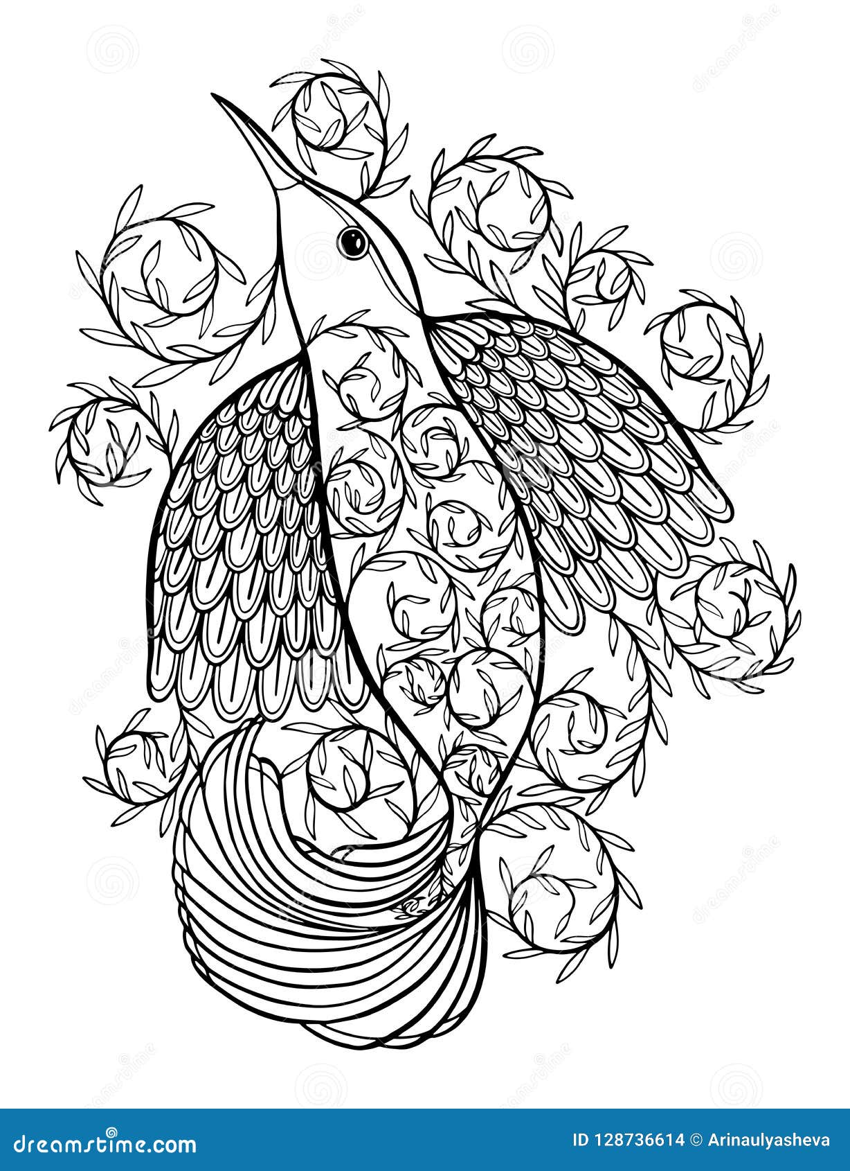 Coloring pages coloring book for adults beautiful template with artwork school educationbird hummingbird and twigs stock illustration