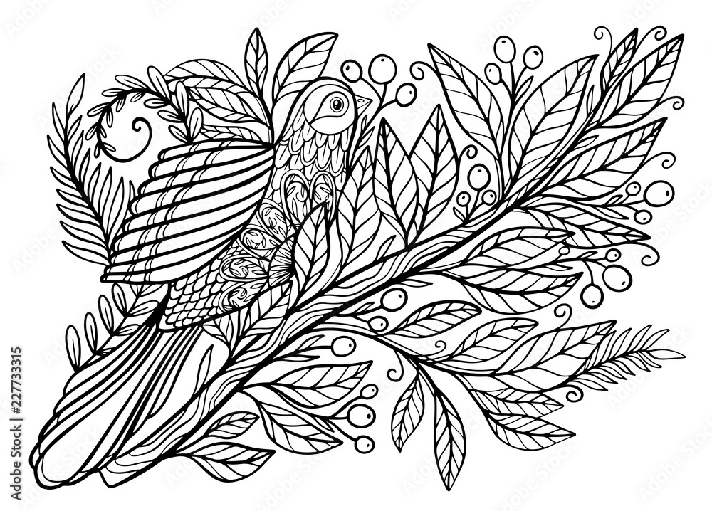 Coloring pages coloring book for adults beautiful template with artwork school educationbird hummingbird and twigs vector