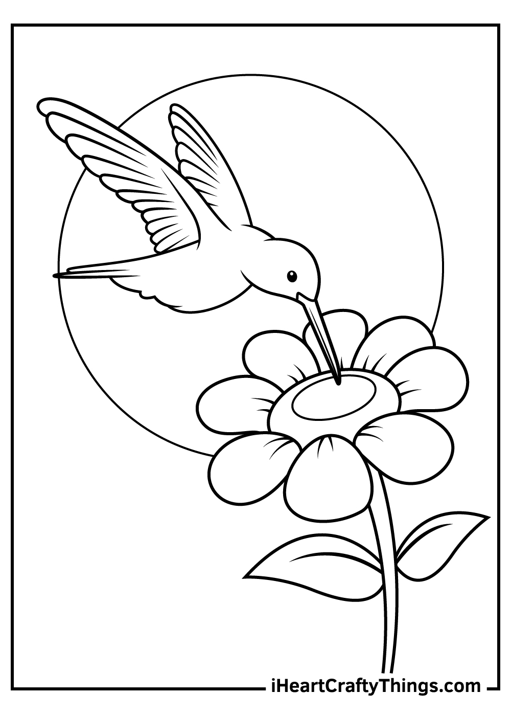 Hummingbird coloring pages free printables