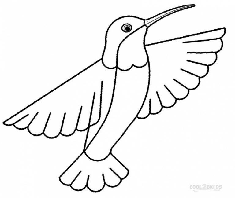 Free hummingbird coloring pages to print bird coloring pages hummingbird colors coloring pages