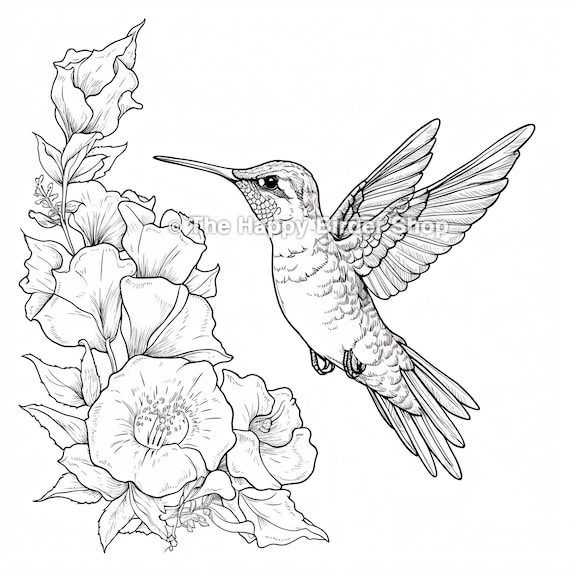 Hummingbird coloring book page birds bird nerdbird giftsfun bird giftsbird lovers nature adult coloring book stress anxiety relief download now