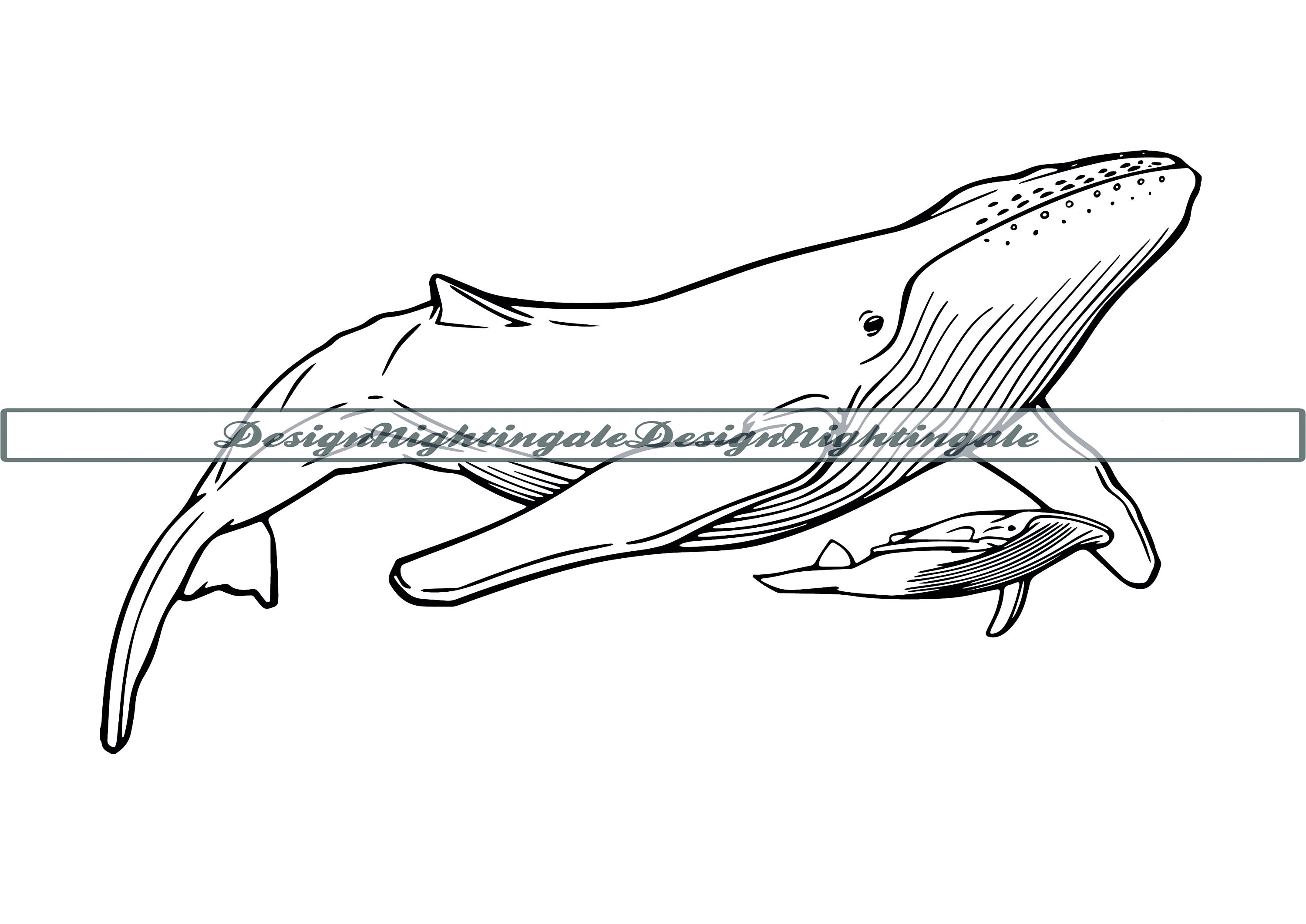 Humpback whale with baby svg humpback whale svg whale clipart humpback whale files for cricut cut files for silhouette dxf png vector