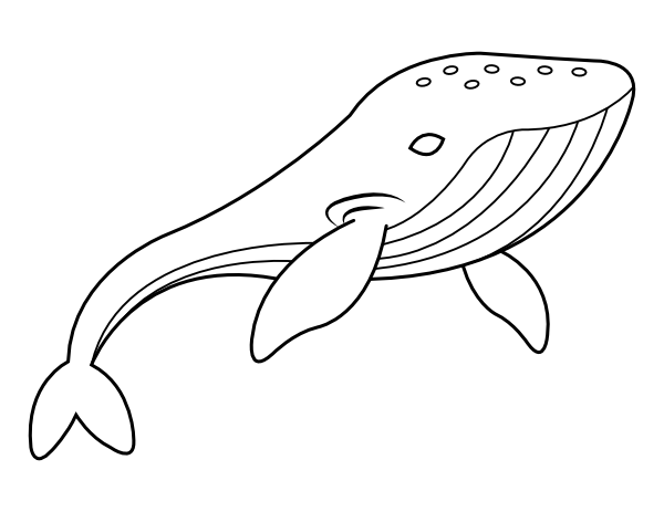 Printable humpback whale coloring page