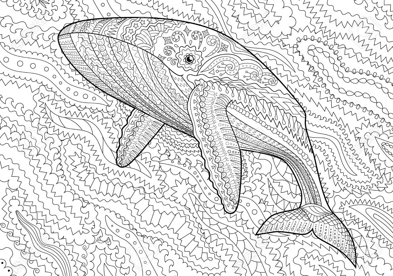 Coloring pages for adults with humpback whale for anti