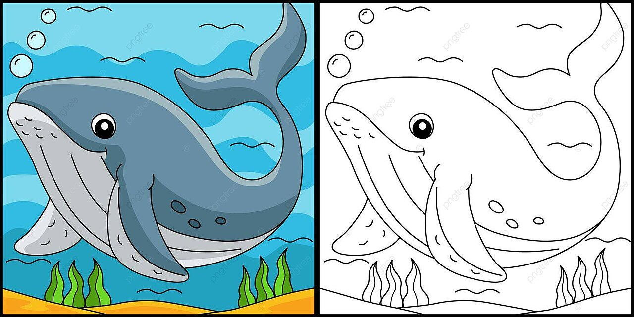 Humpback whale coloring page colored illustration outline ocean coloring vector outline ocean coloring png and vector with transparent background for free download