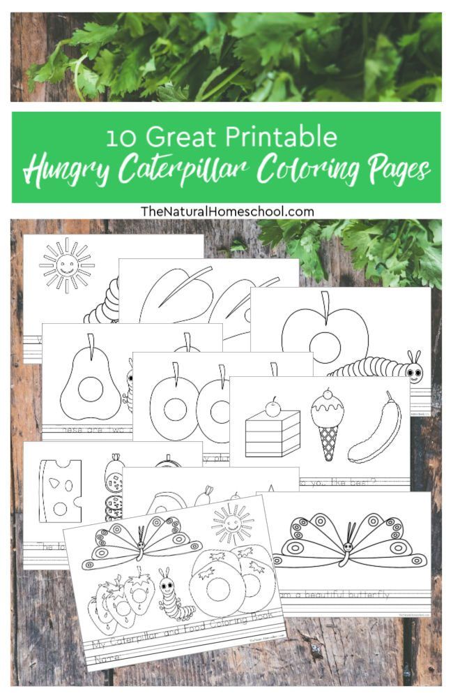 Of the greatest printable hungry caterpillar coloring pages in the world