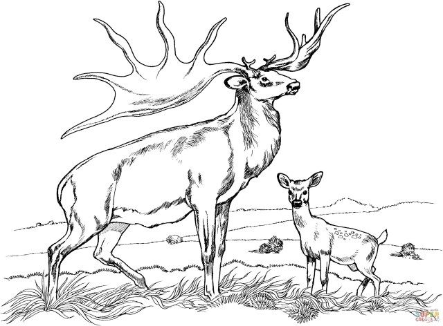 Awesome image of hunting coloring pages