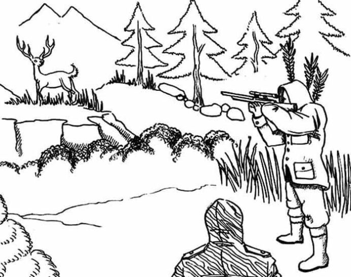 Coloring pages deer coloring in animal hunting coloring page