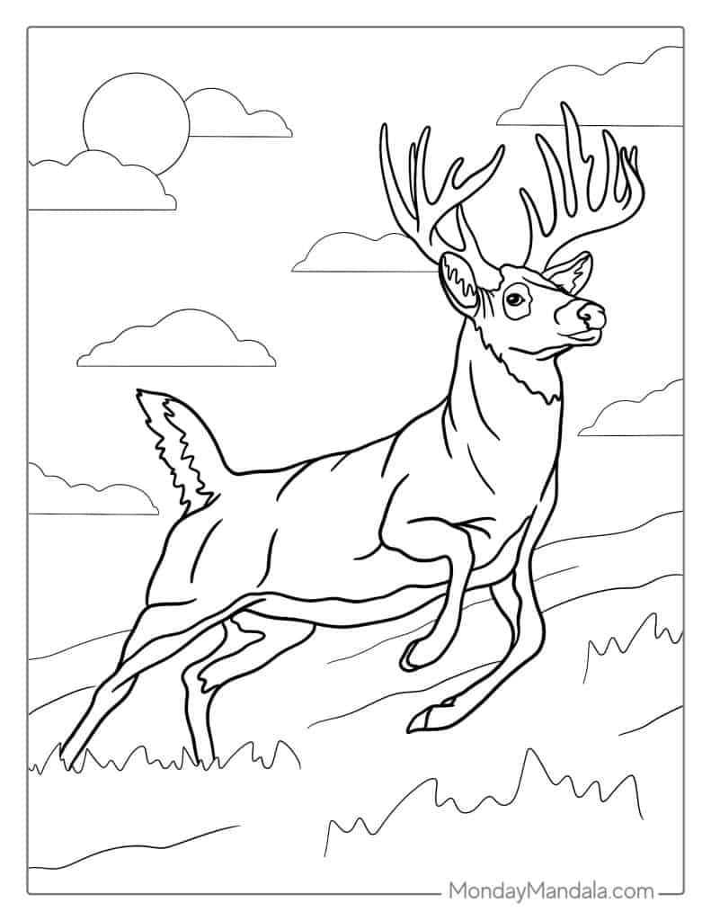 Deer coloring pages free pdf printables