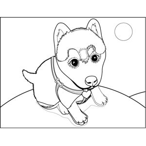 Cute husky puppy coloring page