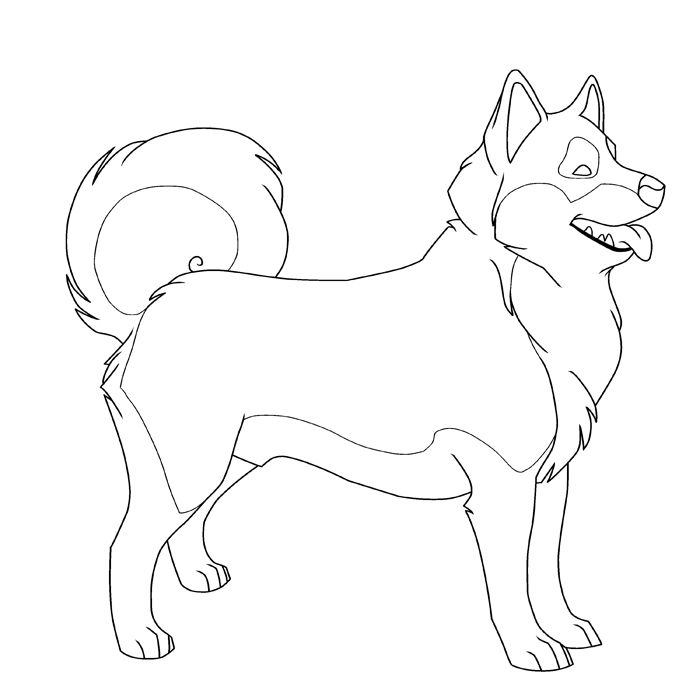 Printable husky coloring page dog coloring page puppy coloring pages dog pictures to color