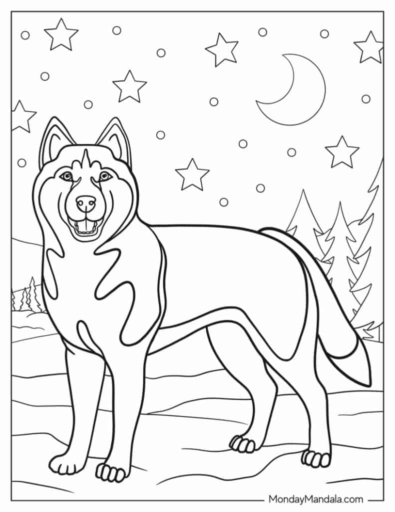 Husky coloring pages free pdf printables