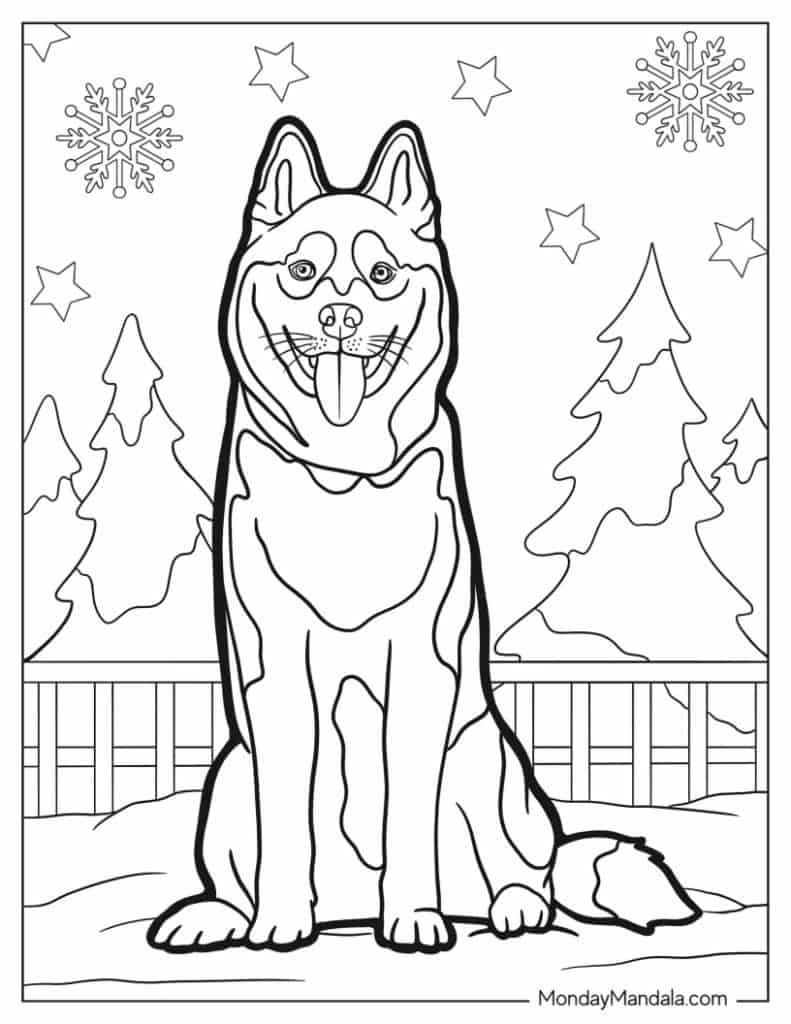 Husky coloring pages free pdf printables