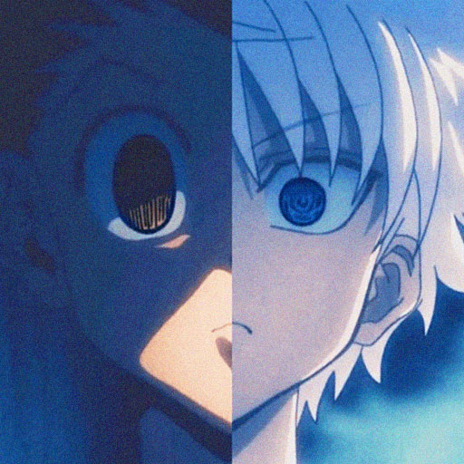 Hxh gon and killua matching pfp