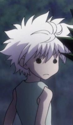 Hunter x hunter matching pfps killua hunter x hunter funny anime pics