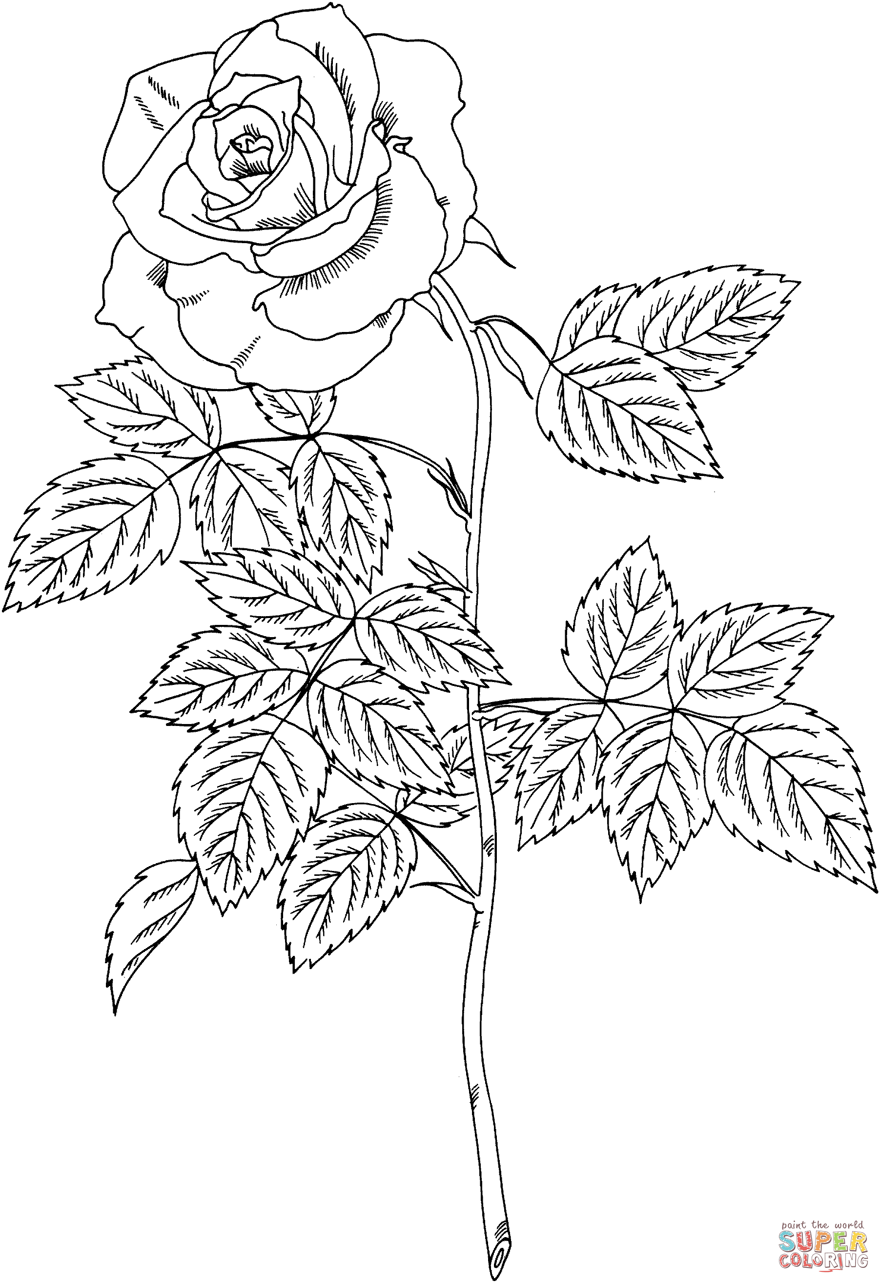 Brandy hybrid tea rose coloring page free printable coloring pages